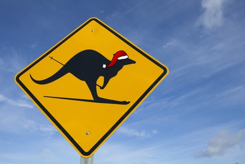 kangaroo with Santa hat | road travel safety tips for Christmas | Speed Humps Australia